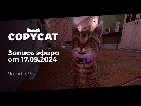 Видео: Мы играем за котика и философствуем | Copycat