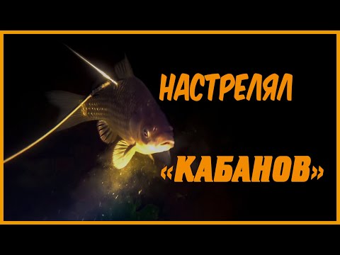 Видео: ПОДВОДНАЯ ОХОТА НА ДЕСНЕ | ПОГОВОРИМ ПРО НОРМЫ ВЫЛОВА