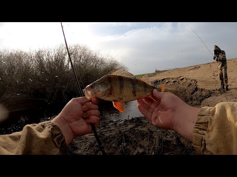 Видео: Рыбалка на реке Ахтуба в мошку.Волго-Ахтубинская пойма после разлива.