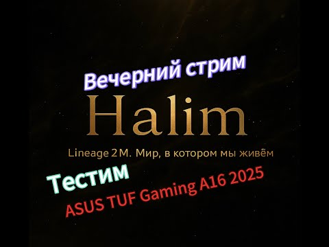 Видео: Lineage 2M l Вечерний стрим, тест Asus TUF Gaming A16 Вечер 2 #l2m #mmorpg #l2community