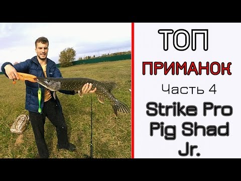 Видео: Мои лучшие приманки. Часть 4. Strike Pro Pig Shad Jr. Конфета для щуки!