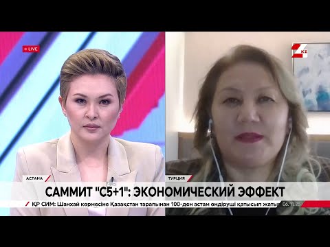 Видео: Айнур Ногаева, политолог, профессор Университета Эрзинджан Бинали Йылдырым