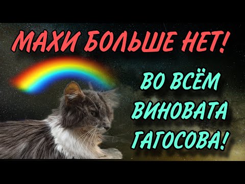 Видео: УМЕРЛА МАХА. ВО ВСЕМ ВИНОВАТА ГАГОСОВА. VREDINA LIFE. ОБЗОР.