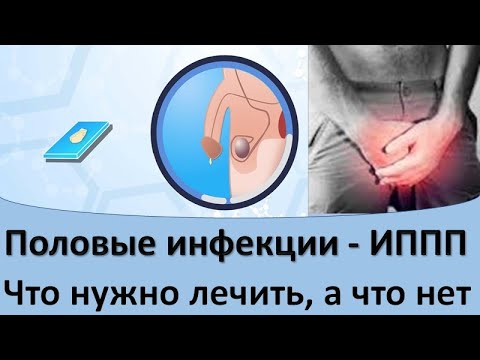 Видео: Половые инфекции - ИППП.  Что нужно лечить, а что нет!