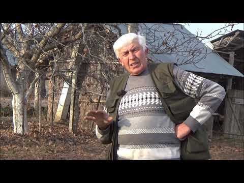 Видео: ВАЖНО!!! Дополнительные рекомендации по посадке осенью 2021г  и подготовке сада к зиме 2021г.