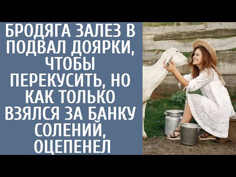 Видео: Бродяга залез в подвал доярки-вдовы, чтобы перекусить, но едва взявшись за банку солений, оцепенел