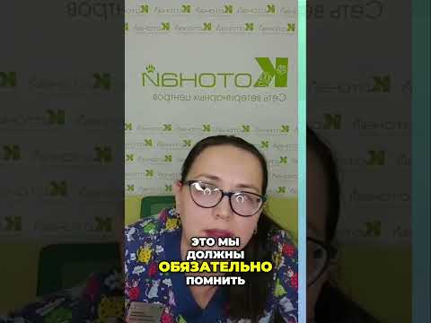 Видео: Основы введения инсулина | Доза, Частота и Хранение