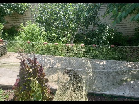 Видео: Бредень с мотнёй,5.5м.