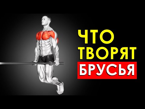 Видео: Вот что Произойдет с Вашим Телом, Если Отжиматься на Брусьях Каждый День