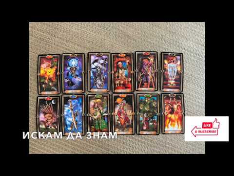 Видео: Искате да разберете накъде вървят нещата #таро #tarot #tarotreading