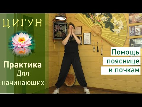 Видео: Цигун для почек