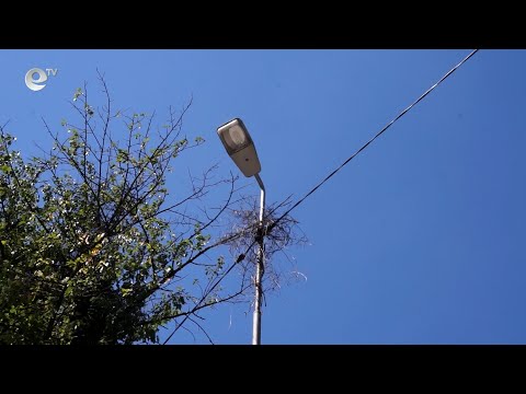 Видео: В 10 села на община Смолян ще има ново улично осветление