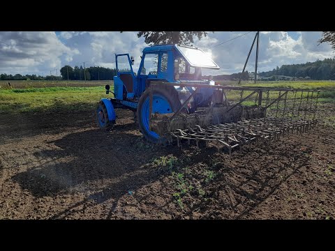 Видео: Бороную.ровняю землю после пахоты с трактором мтз-82