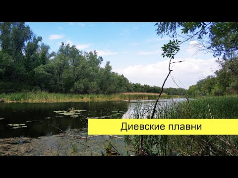 Видео: Диевские плавни: кемпинг в пределах города. Поход выходного дня в Днепре.