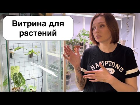 Видео: Переоборудование витрины для растений | пробую обойтись без увлажнителя