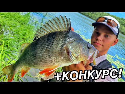 Видео: ТРОФЕЙНЫЙ ОКУНЬ НА ДЖИГ! Как ловить крупного окуня на реке с течением? Секретная проводка на окуня!