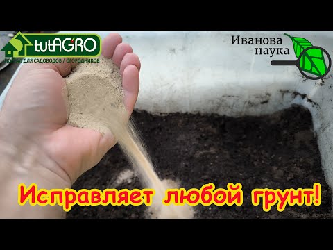 Видео: РАССАДА ЖЕЛТЕЕТ, ПАДАЕТ, НЕ РАСТЕТ? Узнайте этот простой способ проверить и исправить любой грунт.