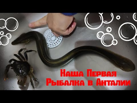 Видео: НАША ПЕРВАЯ РЫБАЛКА В АНТАЛИИ/ РЫБАЛКА ЖЕНСКИМИ ГЛАЗАМИ Our First Antalya Fishing 안탈리아에서 어부의 삶 EP1