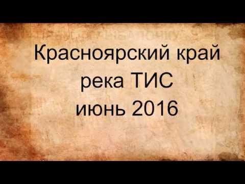 Видео: Тис 2016