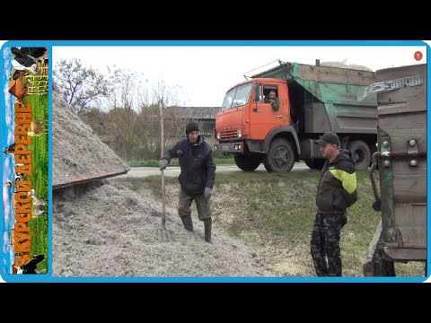Видео: перелопатили два КАМАЗа жома, бесплатное зерно идет в дело, заготовка кормов для коров