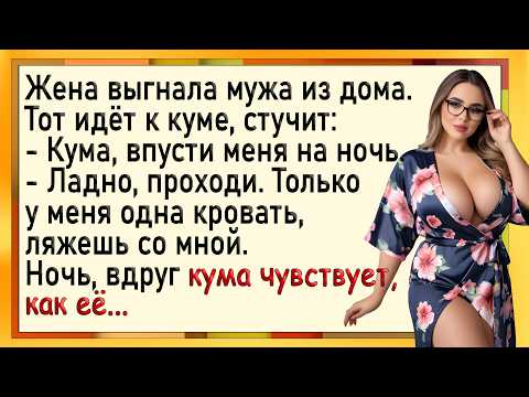 Видео: Как жена выгнала мужа, а кума пригрела! Сборник свежих анекдотов! Юмор!