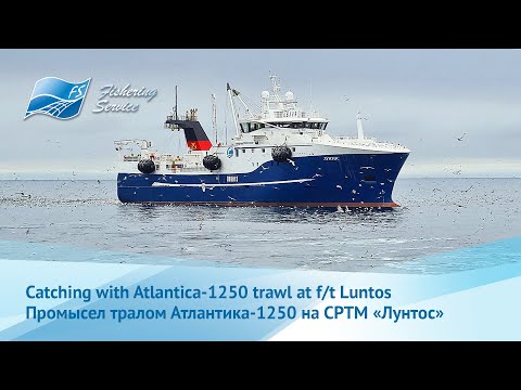 Видео: Herring fishing aboard of factory trawler LUNTOS - Промысел сельди на борту СРТМ ЛУНТОС