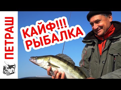 Видео: ВЫСТРЕЛ В СЕРДЦЕ!!! Рыбалка на ДЖИГ в ноябре!