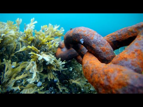 Видео: ПИСЬМА ИЗ ПРОВИНЦИИ. В РАЙОНЕ ПЕЧЕНГИ