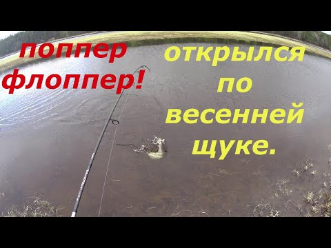 Видео: Весенняя щука май 2021, поверхностные приманки.