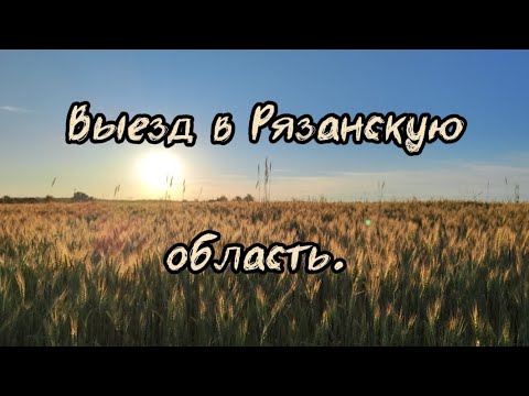 Видео: Выезд в Рязанскую область. Коп июнь 2024.