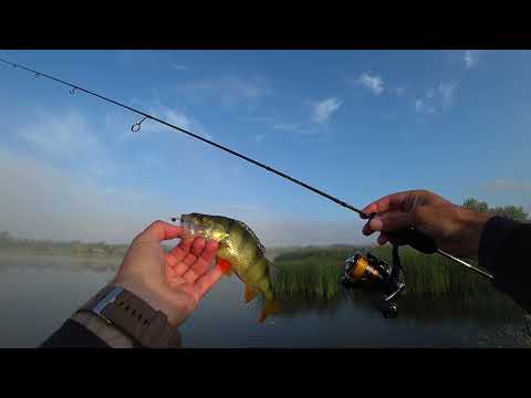 Видео: Crazy Fish Nano Long SE Не обзор, а просто рыбалка на XUL новинку.