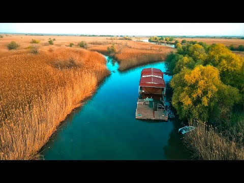 Видео: РЫБАЛКА В УДИВИТЕЛЬНОМ МЕСТЕ! Мощные рыбы, от которых трещат спиннинги! Весенняя ловля монстров