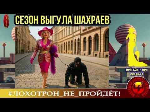 Видео: 🔥✅СЕЗОН ВЫГУЛА ШАХРАЕВ НА ПОВОДКЕ. (АВТОР - СОФЬЯ ПАЛЛНА). МОШЕННИКИ, АФЕРИСТЫ, СКАМ, ТРОЛЛИНГ.