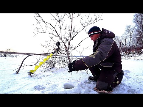 Видео: РАЗБУРИЛ КОРЯГИ и ПРИПЛЫЛИ ОНИ!!! Рыбалка по первому льду на большой реке. Балансир.