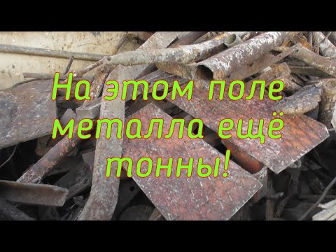 Видео: Металло коп с Антохой!! Набил полный прицеп!!