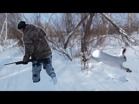 Видео: Заяц крепкие орешки. Охота на зайца беляка троплением.