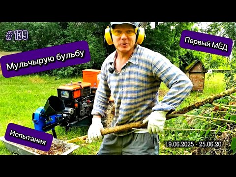 Видео: Защищаю будущий урожай от непогоды. Испытываю веткоизмельчитель. Пчелы принесли немного МЁДа.