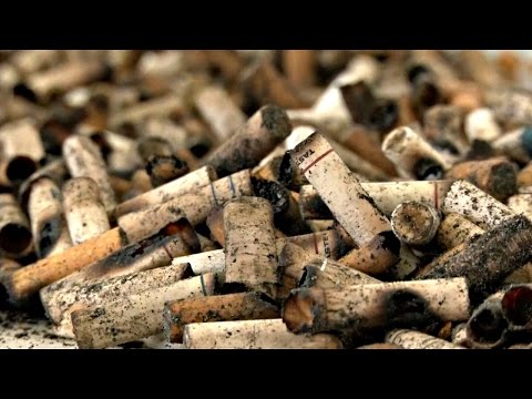 Видео: Бразильцы перерабатывают сигаретные окурки в бумагу (новости)