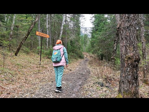Видео: 🐻🏞️Борус - Водопады 7 мая Прогулка в горы. Нац. Парк Шушенский бор п. Черемушки Хакасия