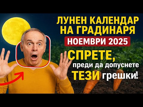 Видео: ЛУНЕН КАЛЕНДАР НА ГРАДИНАРЯ Ноември 2025: СПРЕТЕ, преди да допуснете ТЕЗИ грешки!
