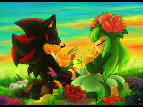 Видео: Еж Шедоу и Космо  Районы кварталы