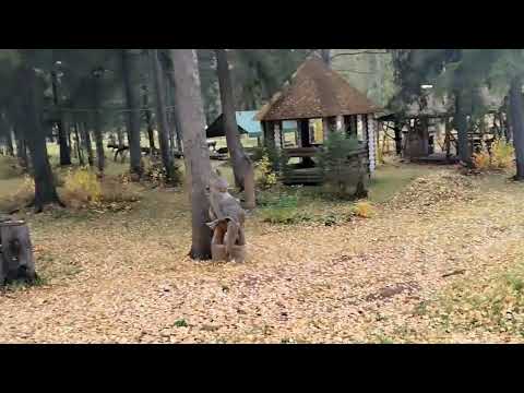 Видео: Октябрь2025. Осенний парк в г. Шарья.