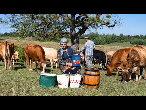 Видео: Домашний Крем-Сыр — Только Молоко и Терпение