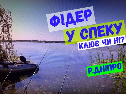 Видео: фідер в спеку на Дніпрі #fishing #фідер #лящ #плотва