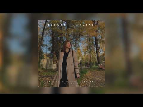 Видео: Zivert — Птицы летят за музыкой | slowed + reverb |