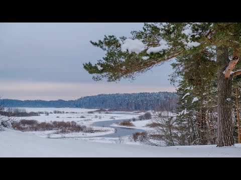 Видео: Зимние пейзажи Пушкинских гор.
