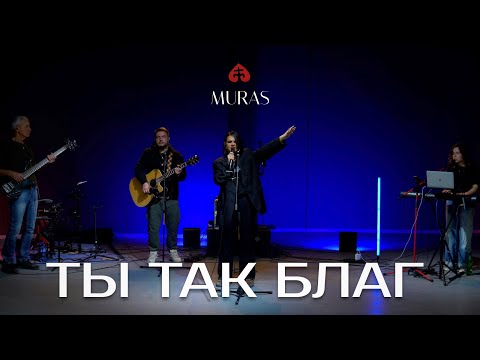 Видео: Ты так благ | King of my heart - Steffany Gretzinger (cover)