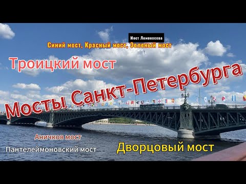 Видео: Мосты Санкт-Петербурга. Июль 2024г.