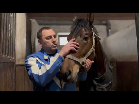 Видео: БЕГА.КАЗАНЬ  18 января 2025