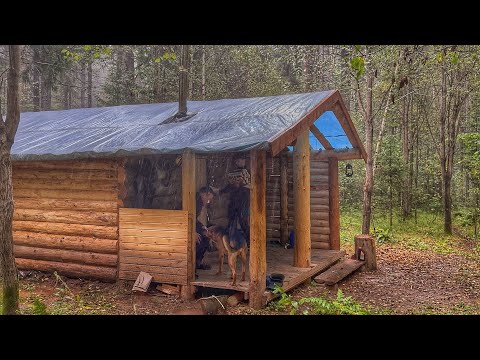 Видео: КРАСИМ ХИЖИНУ И ГОТОВИМ СВЕЖИЕ ЛЕСНЫЕ БЕЛЫЕ ГРИБЫ